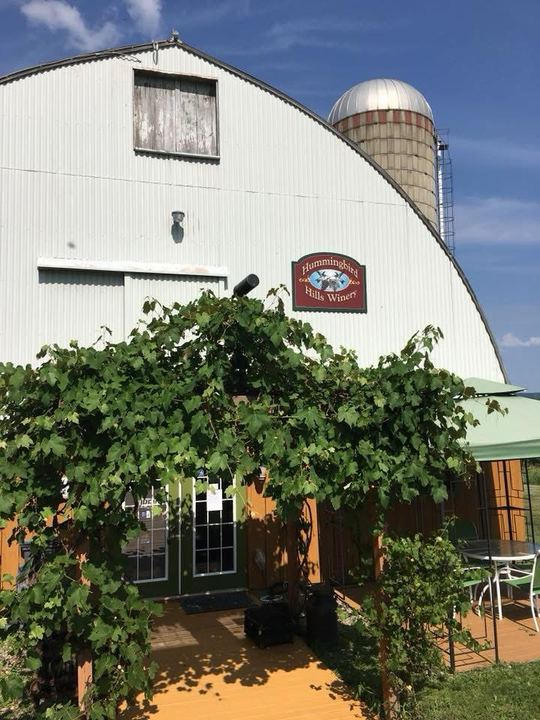 The tasting room entrance under the grape arbour on a summer afternoon