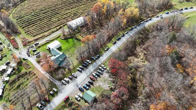 Cars lined the road for a fall event at the winery
