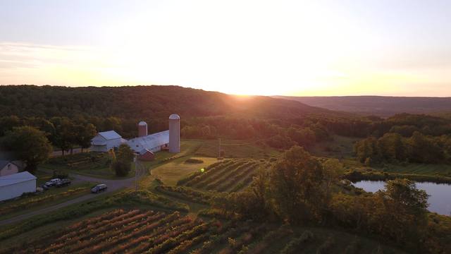 Sunset over the vineyard and the pond
