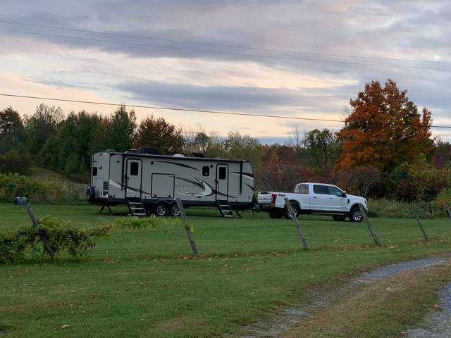 A camper parked among the vines